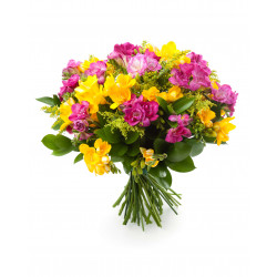 Bouquet de Freesia - 20 Tiges